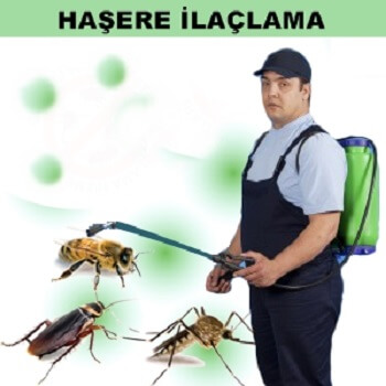 Tuzlukçu Böcek İlaçlama